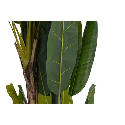 Dekorationspflanze DKD Home Decor Bananenpflanze (90 x 90 x 250 cm)