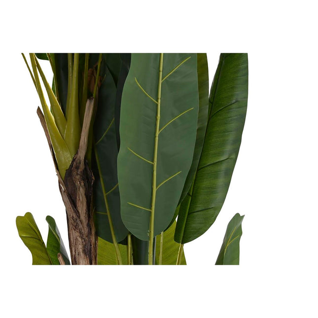 Dekorationspflanze DKD Home Decor Bananenpflanze (90 x 90 x 250 cm)