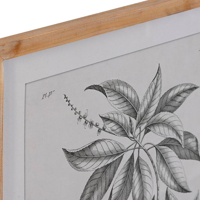 Bild DKD Home Decor Tanne Kristall 50 x 65 x 2 cm 50 x 2 x 65 cm Botanische Pflanzen (4 Stücke)