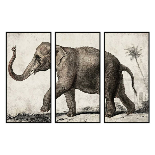 Leinwand DKD Home Decor 3 Stücke Elefant Kolonial (180 x 4 x 120 cm)