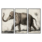 Leinwand DKD Home Decor 3 Stücke Elefant Kolonial (180 x 4 x 120 cm)