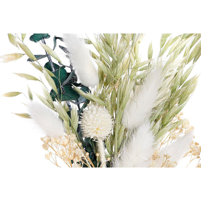 Dekorative Blume DKD Home Decor 16 x 6 x 21 cm Beige grün Gelb Blomster (2 Stück)