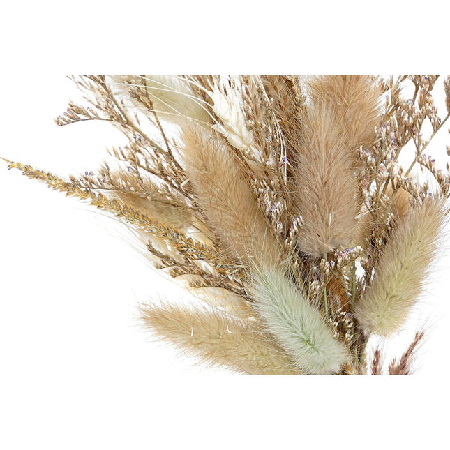 Dekorative Blume DKD Home Decor 16 x 6 x 21 cm Beige Braun Blomster (2 Stück)