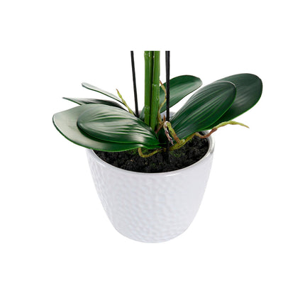 Deko-Blumen DKD Home Decor 44 x 27 x 77 cm Lila Weiß grün Orchidee (2 Stück)