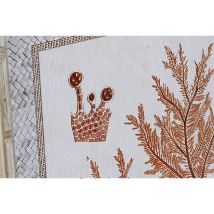 Bild DKD Home Decor 50 x 2,8 x 65 cm Koralle (4 Stücke)