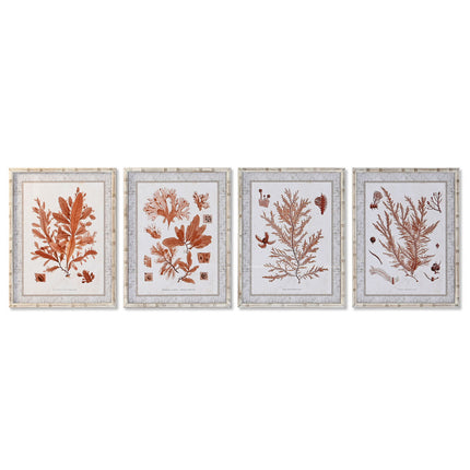 Bild DKD Home Decor 50 x 2,8 x 65 cm Koralle (4 Stücke)
