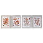 Bild DKD Home Decor 50 x 2,8 x 65 cm Koralle (4 Stücke)