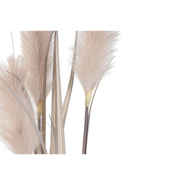 Dekorationspflanze DKD Home Decor Federwedel (Restauriert A)