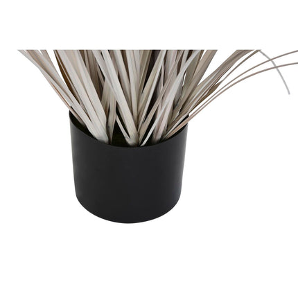 Dekorationspflanze DKD Home Decor Federwedel (Restauriert A)