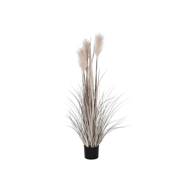 Dekorationspflanze DKD Home Decor Federwedel (Restauriert A)