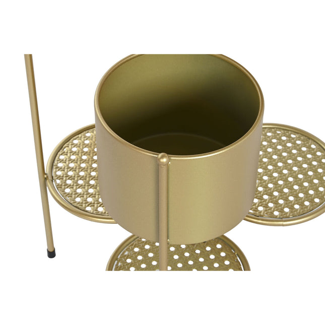 Blumentopf DKD Home Decor 40 x 15 x 80 cm 40 x 28 x 79,5 cm Schwarz Gold Metall (2 Stück)