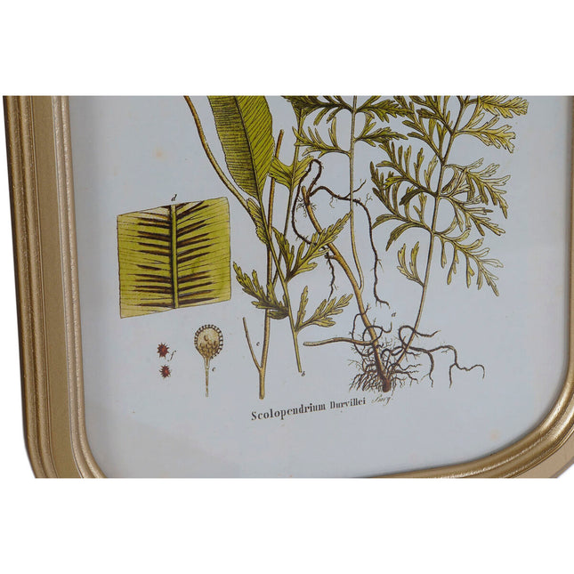 Bild DKD Home Decor Moderne Botanische Pflanzen 30 x 2 x 45 cm (9 Stück)