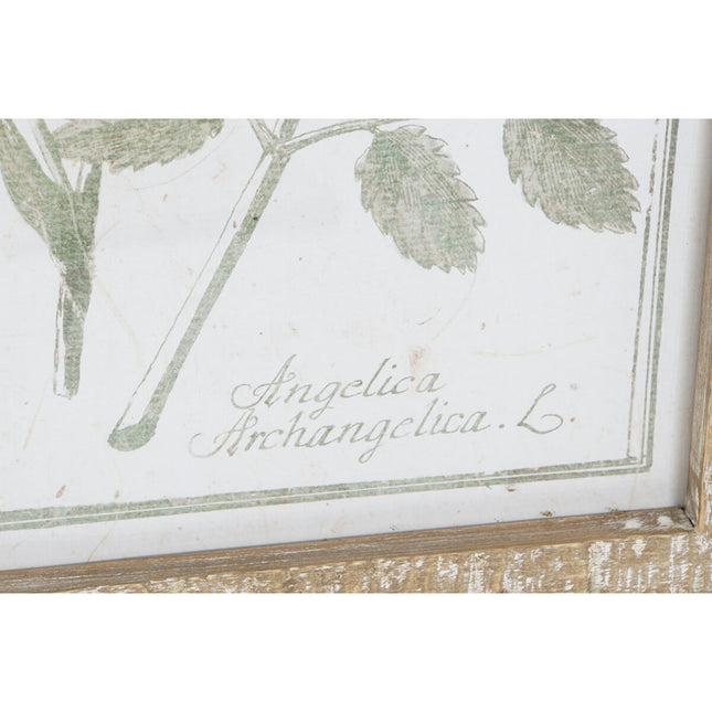 Bild DKD Home Decor Cottage Botanische Pflanzen 30 x 2 x 50 cm (9 Stück)