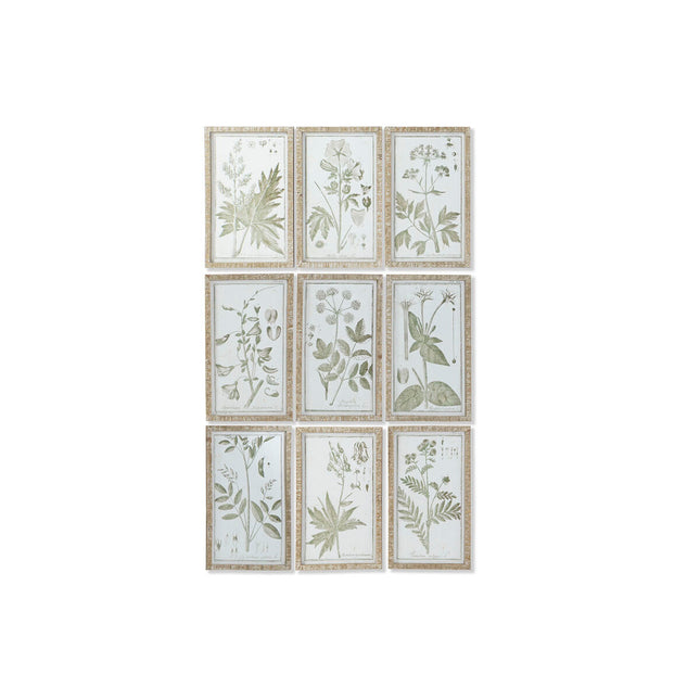 Bild DKD Home Decor Cottage Botanische Pflanzen 30 x 2 x 50 cm (9 Stück)