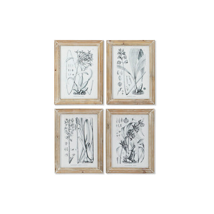 Bild DKD Home Decor Moderne Botanische Pflanzen 30 x 2 x 40 cm (4 Stück)
