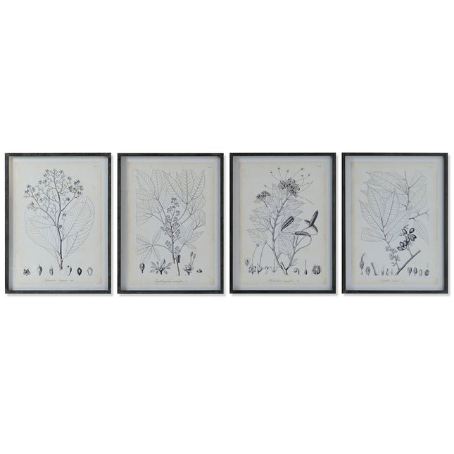 Bild DKD Home Decor Moderne Botanische Pflanzen 45 x 2,5 x 60 cm (4 Stück)