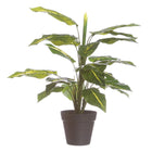 Dekorationspflanze PVC Eisen 45 cm