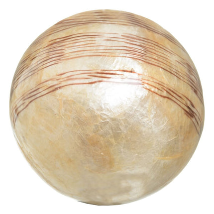 Bälle CAPIZ Dekoration Beige Braun 10 x 10 x 10 cm (8 Stück)