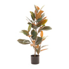 Dekorationspflanze 36 x 37 x 90 cm PVC Ficus Dunkelgrün