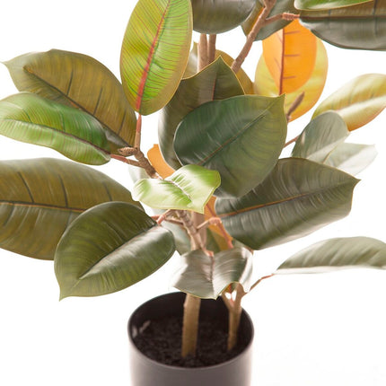 Dekorationspflanze 36 x 37 x 90 cm PVC Ficus Dunkelgrün