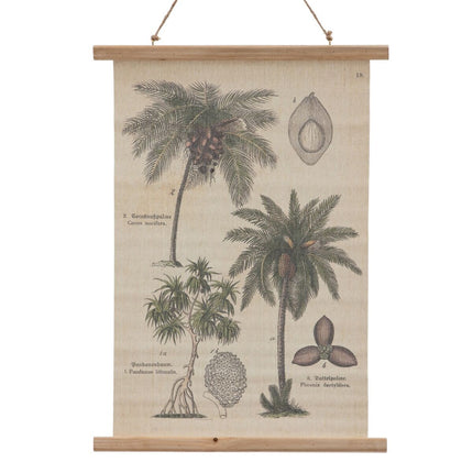 Folie 50 x 2 x 70 cm Palme