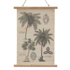 Folie 50 x 2 x 70 cm Palme