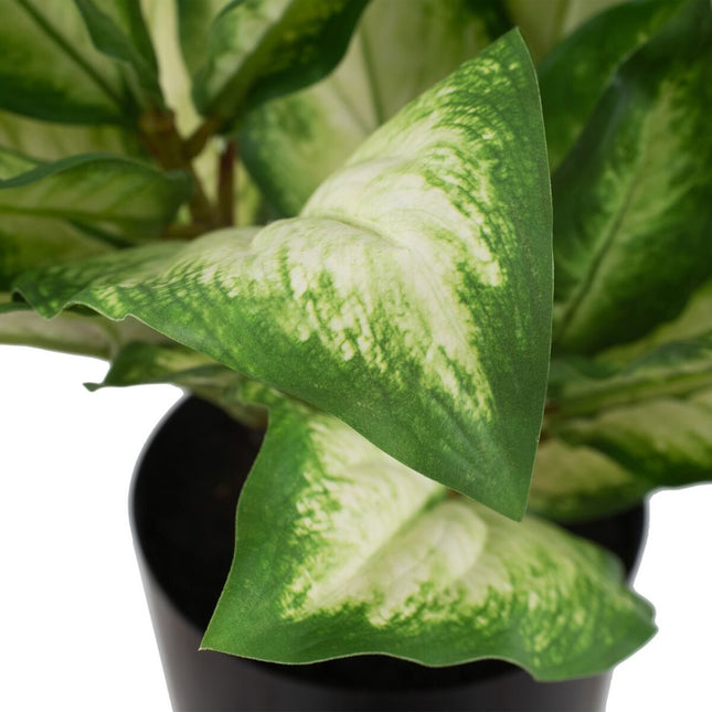 Dekorationspflanze Polyäthylen PEVA Dieffenbachia 42 x 42 x 52 cm
