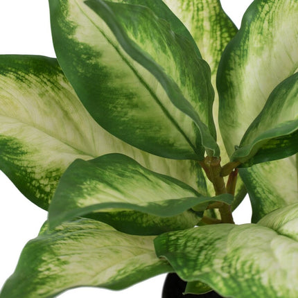 Dekorationspflanze Polyäthylen PEVA Dieffenbachia 42 x 42 x 52 cm