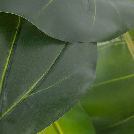 Dekorationspflanze 75 x 60 x 155 cm grün Philodendron