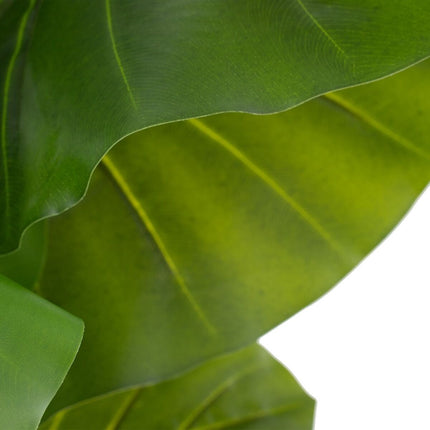 Dekorationspflanze 75 x 60 x 155 cm grün Philodendron