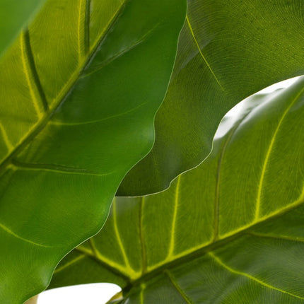 Dekorationspflanze 75 x 60 x 155 cm grün Philodendron