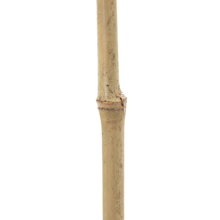 Zweig natürlich Laken 43 x 2 x 200 cm