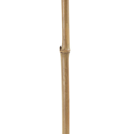 Zweig Creme 7 x 7 x 190 cm