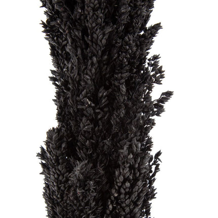 Zweig Schwarz 7 x 7 x 190 cm
