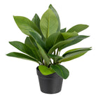 Dekorationspflanze 50 x 45 x 48 cm grün PVC