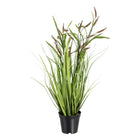 Dekorationspflanze 45 x 40 x 74 cm grün PVC