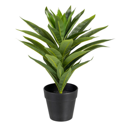 Dekorationspflanze grün PVC Lilie