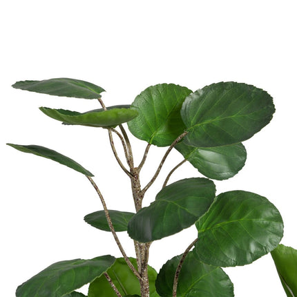 Dekorationspflanze 80 x 77 x 113 cm grün PVC Aralia