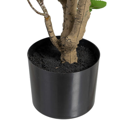 Dekorationspflanze 80 x 77 x 113 cm grün PVC Aralia