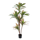 Dekorationspflanze 160 cm Dracaena grün