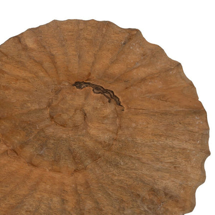 Skulptur Meeresschnecke Beige 49,5 x 9 x 53,5 cm