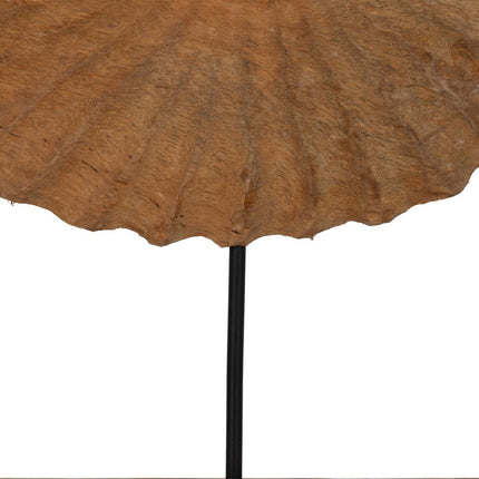 Skulptur Meeresschnecke Beige 49,5 x 9 x 53,5 cm