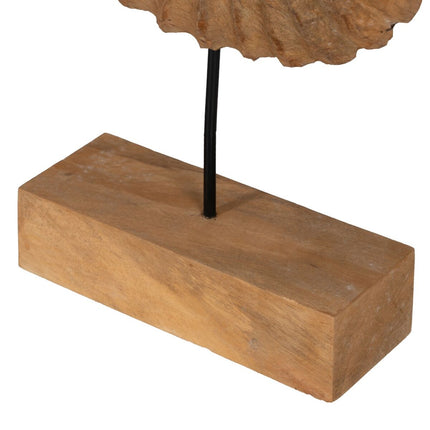 Skulptur Meeresschnecke Beige 49,5 x 9 x 53,5 cm