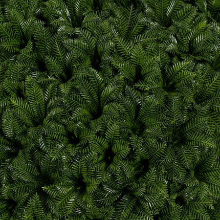 Dekorationspflanze grün PVC 20 x 20 cm