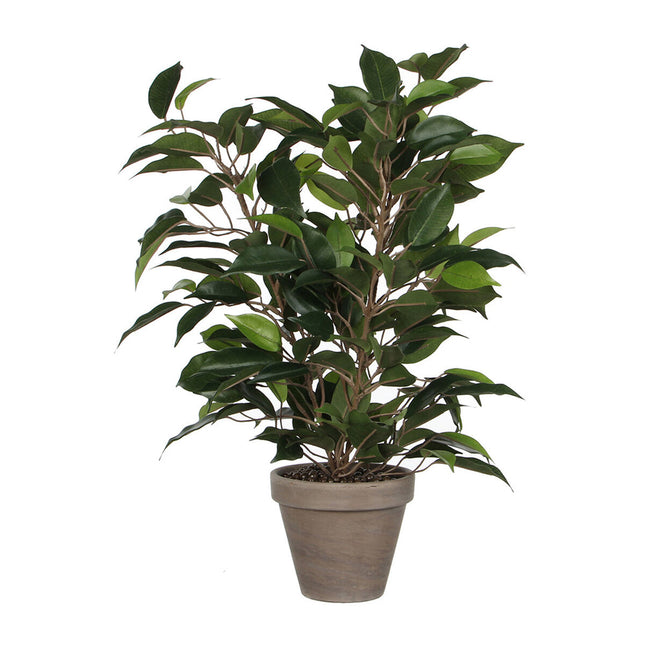 Dekorationspflanze Mica Decorations 40 x 30 cm aus Keramik PVC Ficus