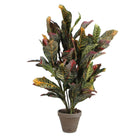 Dekorationspflanze Mica Decorations Croton grün PVC (73 x 40 cm)