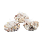 Dekoration Kitchen Goods 400 g Küste