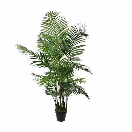 Dekorationspflanze Mica Decorations grün Palme (80 x 160 cm)