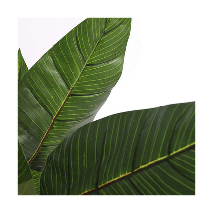 Dekorationspflanze Mica Decorations (60 x 110 cm)