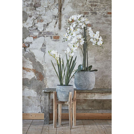 Blumentopfhalter Mica Decorations Ascot Holz (60 x 38 x 38 cm)